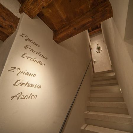 Dimora Corteinfiore ตรานิ ภายนอก รูปภาพ