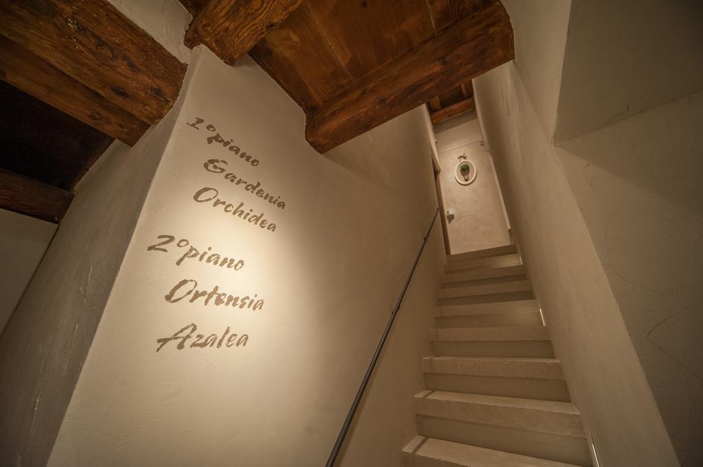 Dimora Corteinfiore ตรานิ ภายนอก รูปภาพ